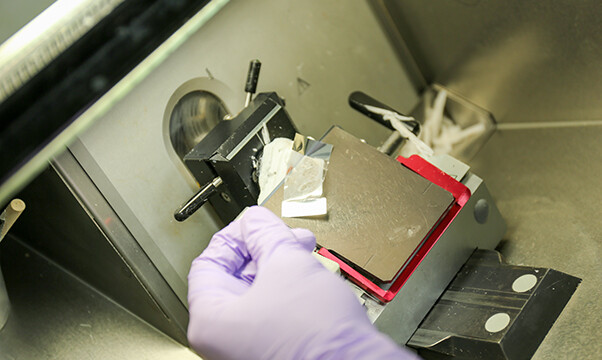 透明なフィルムに貼り付けて薄く切ります。