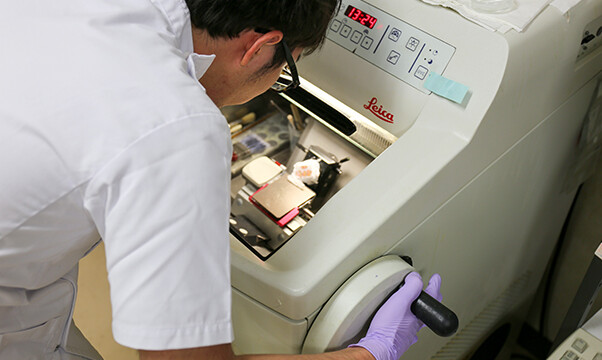 約7μmの薄さで切ります。