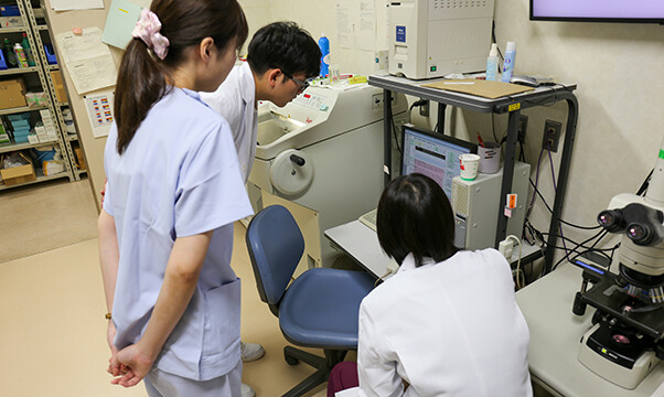 プレパラート作製中に、臨床情報を確認します。