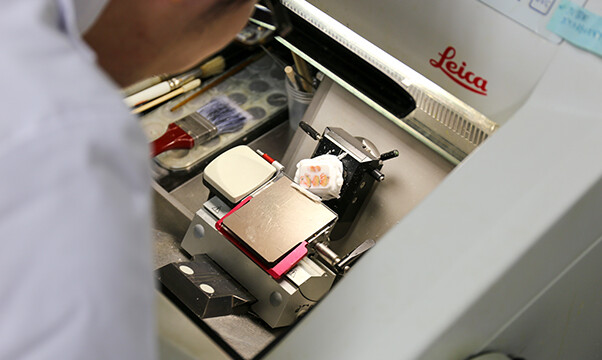 約7μmの薄さで切ります。