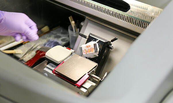 透明なフィルムに貼り付けて薄く切ります。