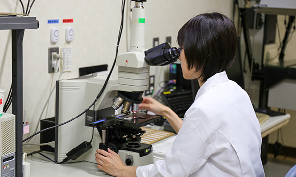 顕微鏡で観察して、癌がないか確認します。