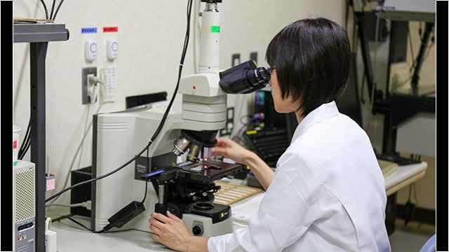 顕微鏡で観察して、癌がないか確認します。