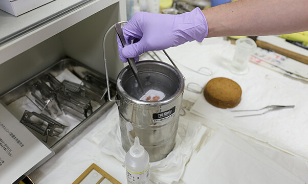 ドライアイスアセトンで急速に凍結します。