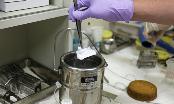 検体とコンパウンドが1つの塊となって凍ります。