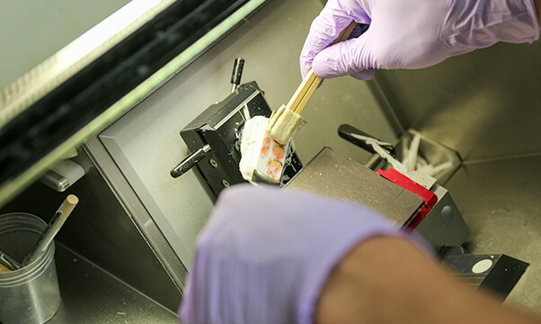 透明なフィルムに貼り付けて薄く切ります。